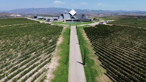 modern-wine-cellar-warehouse-and-vineyard-from-aerial-drone-view