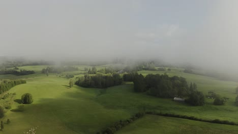 Countryside-in-a-Foggy-Summer-Morning