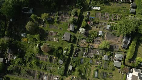 Allotments-Birds-Eye-View-Spring-Aerial-Overhead-Cotswolds-UK-Spring
