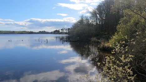 Reflexiones-Sobre-Un-Lago-A-Principios-De-Primavera-En-Waterford,-Irlanda.