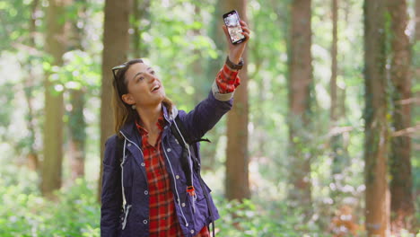 Woman-On-Hike-Through-Forest-Having-Video-Call-On-Mobile-Phone