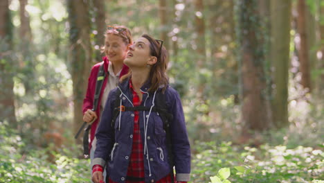 Zwei-Junge-Freundinnen-Im-Campingurlaub-Wandern-Durch-Den-Wald-Und-Genießen-Gemeinsam-Die-Natur