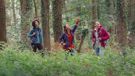 Eine-Gruppe-Junger-Freundinnen-Im-Campingurlaub-Wandert-Durch-Den-Wald-Und-Genießt-Gemeinsam-Die-Natur