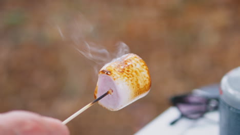 Close-Up-Of-Person-Toasting-Marshmallow-Outdoors-On-Camping-Trip