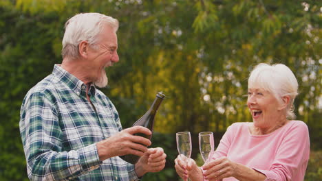 Pareja-De-Ancianos-Jubilados-Celebrando-Buenas-Noticias-O-Ganando-Abriendo-Champán-En-El-Jardín