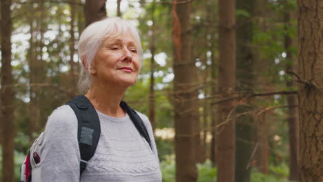 Active-Retired-Senior-Woman-Walking-In-Woodland-Countryside-Wearing-Backpack