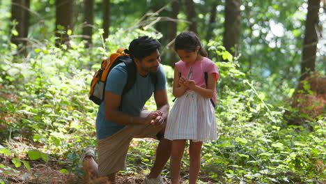 Vater-Und-Tochter-Schauen-Bei-Einem-Spaziergang-Durch-Die-Sommerliche-Waldlandschaft-Auf-Federn