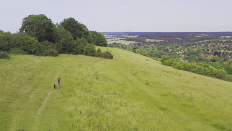 Aerial-Drone-Shot-Of-Woman-Walking-Dog-On-Hill-In-English-Summer-Countryside-UK-Streatley-Berkshire