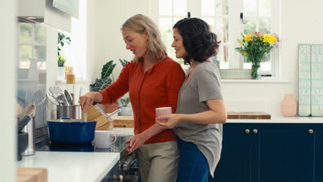 Loving-Same-Sex-Mature-Female-Couple-In-Kitchen-Cooking-Meal-Together