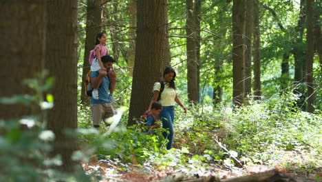 Family-With-Backpacks-Hiking-Or-Walking-Through-Summer-Woodland-Countryside