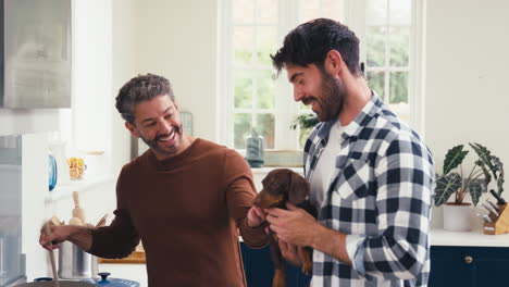 Same-Sex-Male-Couple-With-Pet-Dachshund-At-Home-In-Kitchen-Preparing-Meal-Together