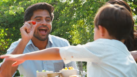 Family-Eating-Outdoor-Meal-In-Summer-Garden-At-Home-With-Father-Throwing-Tomato-For-Son-To-Catch