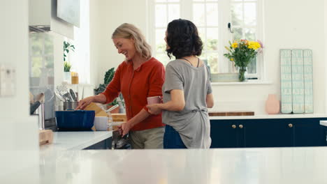 Loving-Same-Sex-Mature-Female-Couple-In-Kitchen-Cooking-Meal-Together