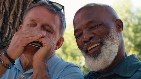 Senior-And-Mature-Male-Friends-Outdoors-In-Garden-Playing-Harmonica-Together