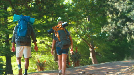 Rear-View-Of-Couple-With-Backpacks-Waving-As-They-Set-Off-On-Vacation-Hiking-Through-Countryside
