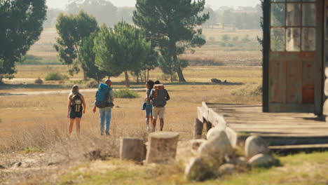 Vista-Trasera-De-Un-Grupo-De-Amigos-Con-Mochilas-Caminando-Juntos-En-El-Campo.