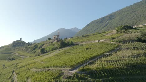 North-Italy,-terraced-vineyards