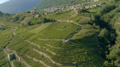 North-Italy,-Sondrio-terraced-vineyards