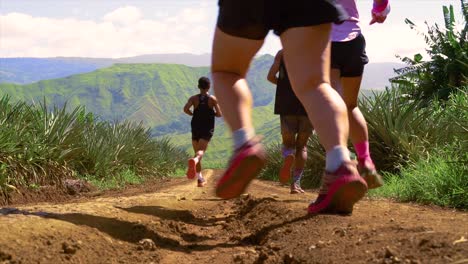 Group-of-runners-running-on-a-field-to-the-mountains