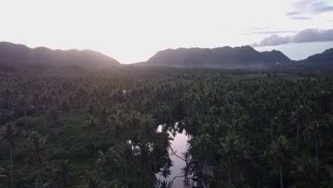 Gebogene-Kokospalmenschaukel-Am-Maasin-River-Auf-Der-Insel-Siargao-Bei-Sonnenuntergang