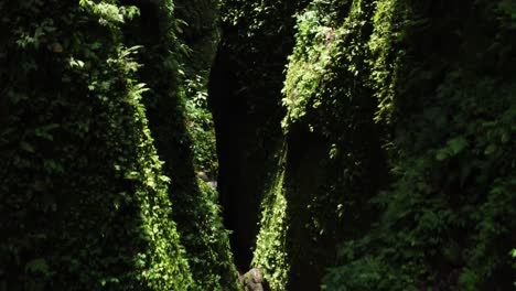 Exuberante-Cascada-De-Garganta-Verde-En-Bali-Tiro-De-Drone-Hacia-Atrás