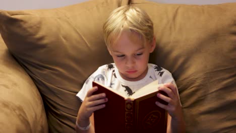 LITTLE-BOY-READING-BOOK-ALONE-ON-COUCH