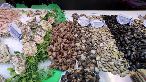 Verschiedene-Meeresfrüchte,-Die-Auf-Einem-Tisch-Auf-Einem-Lokalen-Markt-Ausgestellt-Werden