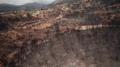 Aerial-bird's-eye-view-fly-over-of-charred-forest-remains-of-wildfire-in-Parnitha-Greece