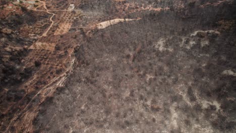 Panorama-Luftübersicht-über-Verbrannten-Waldresten-In-Parnitha,-Griechenland,-Neben-Landwirtschaftlichen-Feldern