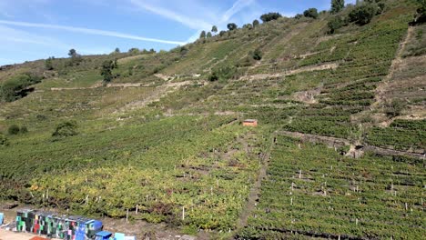 Aerial-pan-across-vineyards-of-Ribeira-Sacra,-Galicia-Spain