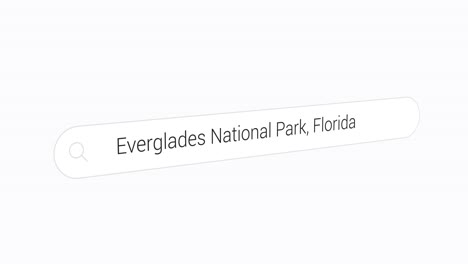Searching-Everglades-National-Park,-Florida-on-the-web