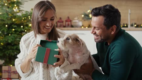 Glückliches-Paar-Mit-Mehreren-Ethnien,-Das-Weihnachtsgeschenk-Für-Hund-öffnet.