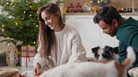 Ein-Paar-Aus-Mehreren-Ethnischen-Gruppen-Verbringt-Zu-Weihnachten-Zeit-Mit-Hunden-Und-Packt-Die-Letzten-Geschenke.