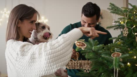 Paar-Mit-Hund-Schmückt-Den-Weihnachtsbaum-Zu-Hause.