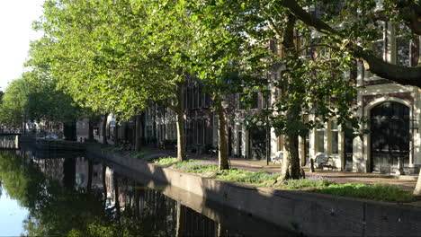 Trees-Along-The-Canal-And-Lage-Gouwe-Paved-Street-in-Gouda,-The-Netherlands