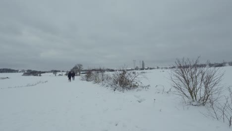 Group-of-people-walk-off-into-distance-across-frozen-barren-snowy-landscape