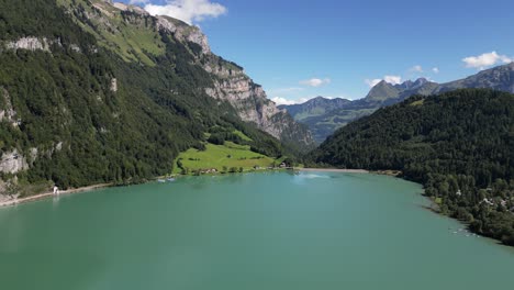 Majestätische-Gipfel,-Kristallklares-Wasser:-Luftaufnahme-Von-Grünen-Wäldern-Und-Bergen-Am-Seeufer