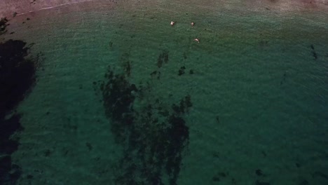 Menschen-Schwimmen-In-Kornischen-Gewässern-Am-Strand-Entlang,-Luftaufnahme-Von-Oben-Nach-Unten