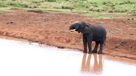Elephant-On-The-River-At-Aberdare-National-Park-In-Rware,-Ndaragwa,-Kenya