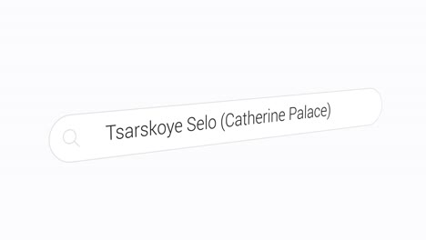 Typing-Tsarskoye-Selo--on-the-Search-Engine