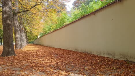 Statische-Aufnahme-Von-Orangefarbenen-Herbstblättern,-Die-Den-Boden-Bedecken