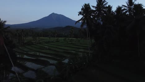 Aerial-View-of-Paddy-Fields-and-Volcanic-Mountains-in-East-Java,-Indonesia