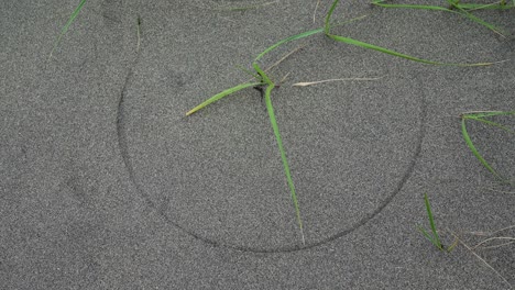 Kreisförmige-Zeichnung-Im-Sand-Mit-Strandgras,-Das-Von-Einer-Sanften-Brise-Verweht-Wird