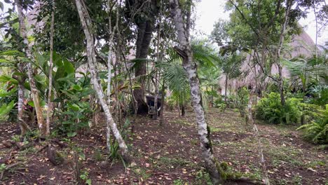 Tropische-Gartenumgebung-Zwischen-Strohgedeckten-Hütten-Im-Dschungel