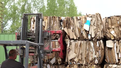 Man-driving-fork-lift-with-clamp-stacks-bales-of-cardboard-at-recycling-plant