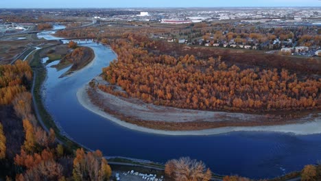 Majestic-fall-orange-trees-surrounding-Bow-River,-captured-from-an-aerial-view-in-Calgary