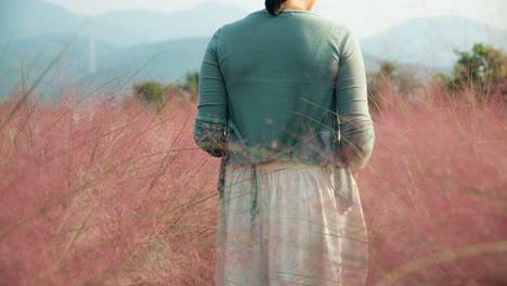 Rear-View-Close-up-of-Korean-Woman-Walking-Through-Pink-Muhly-Field-in-Slow-Motion-in-Pocheon-Herb-Island-Farm