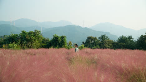 Pretty-Woman-in-Dress-Walking-Through-Pink-Muhly-Grassland-Meadow-Exploring-Rural-Countryside,-Hazy-Mountain-Range-in-Backdrop-in-Pocheon-Herb-Island-Farm---Wide-Angle-Parallel-Side-Dolly-Tracking