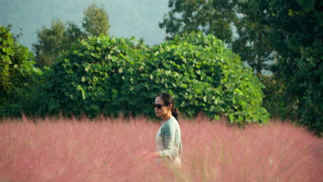 Traking-Shot-of-Korean-Woman-Walking-Through-Pink-Muhly-Grassland-Field-And-Touching-Tall-Grass-with-Hand-in-Slow-Motion-with-Lush-Green-Tropical-Greenery-in-Background---telephoto-side-dolly-tracking