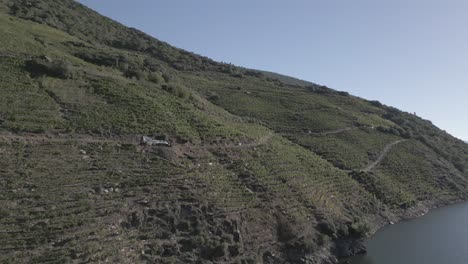 Gorgeous-Drone-Footage-Of-Sil-Canyon-Vineyards-at-Ribeira-Sacra,-Spain